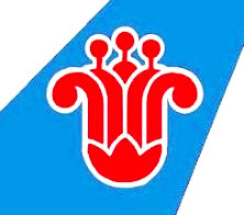 其他電動(dòng)叉車(chē)配件應(yīng)用于中國(guó)南方航空
